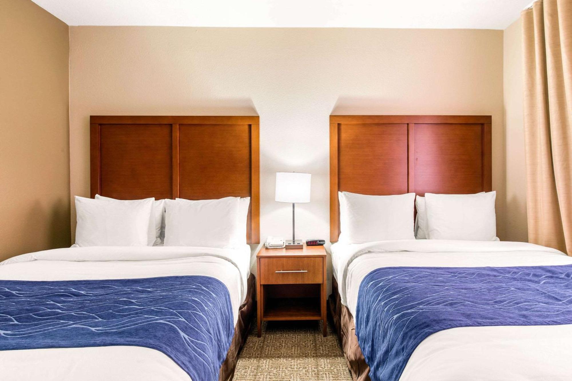 האמבל Comfort Inn & Suites Iah Bush Airport - East מראה חיצוני תמונה
