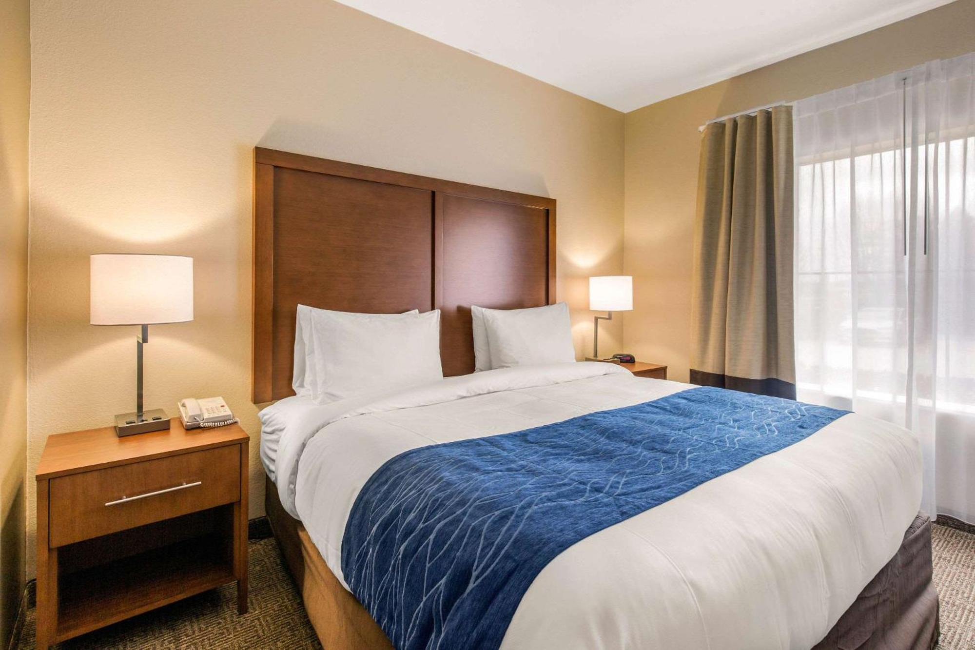 האמבל Comfort Inn & Suites Iah Bush Airport - East מראה חיצוני תמונה
